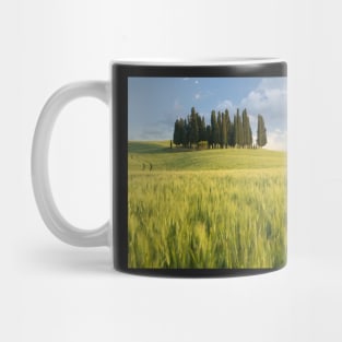 Group of cypress trees in Tuscan landscape Mug